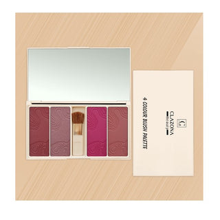 Blusher (4 Color)