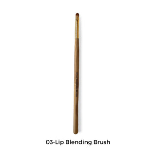 Lip Blending Brush (Soft, rounded for smooth blending)