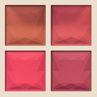 Blush Pallet 4 IN 1