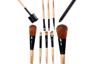 Makeup Brush Kit 10 PCS